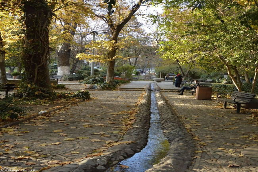 I gatti del parco Qeytariyeh