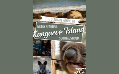 L’Australia sta bruciando.