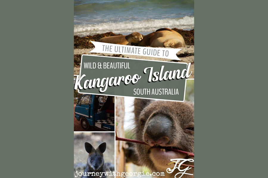 L’Australia sta bruciando.