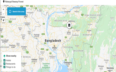 La palude di Ratargul