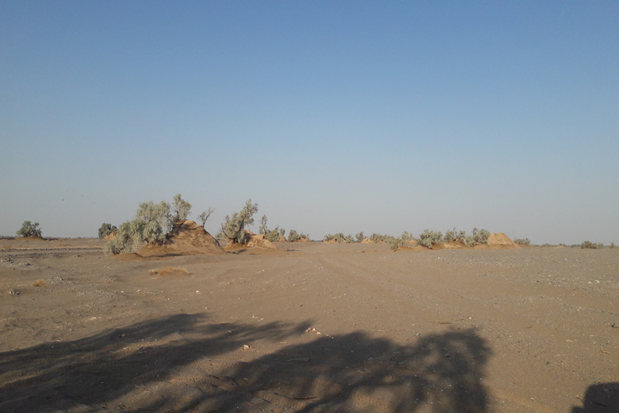 Kalut nel cuore del deserto Lut