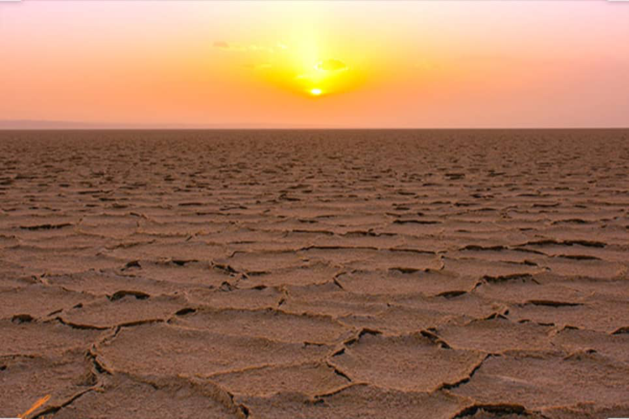Cosa c’è nel cuore del deserto?