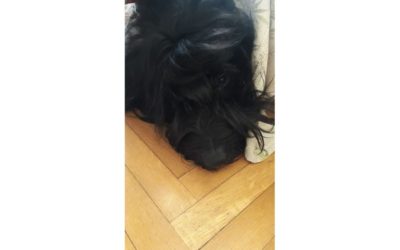 Le storielle di Beba