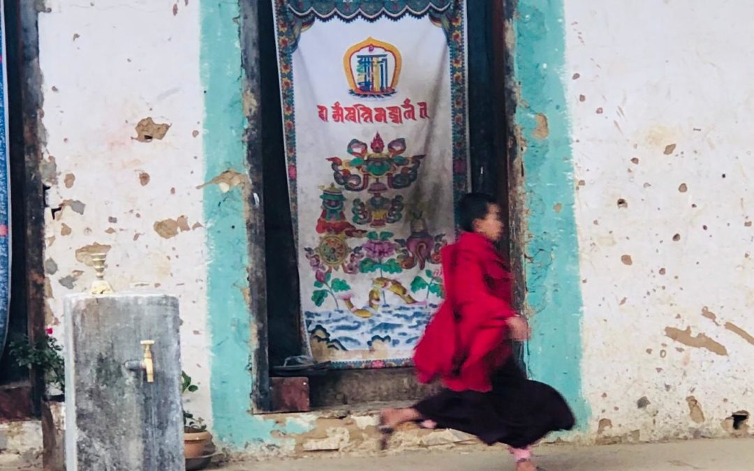 BHUTAN’S TIGER SKIN
