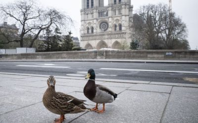 PARIGI…FIATO SOSPESO