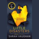 SARAH VAUGHAN – LITTLE DISASTERS  Un thriller domestico. Un tuffo nel lato oscuro della maternità