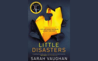 SARAH VAUGHAN – LITTLE DISASTERS Un thriller domestico. Un tuffo nel lato oscuro della maternità