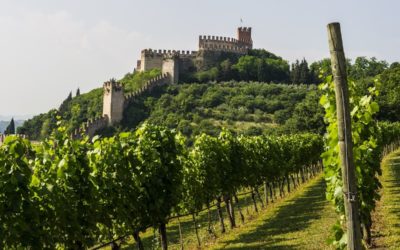 SOAVE – Borgo di storia e di vino