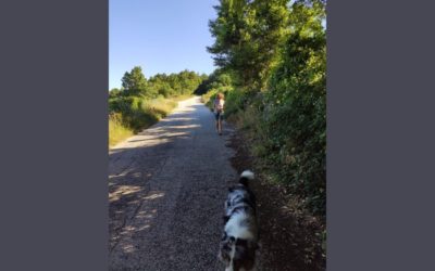 ALLA SCOPERTA DI NUOVI SENTIERI….. (luoghi nascosti nella VerdeUmbria)