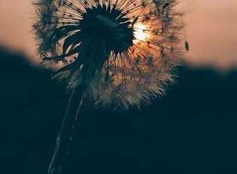 IN OSPEDALE – Il dolore condiviso