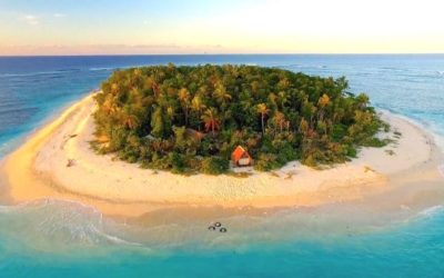 BOOKS TO TAKE ON A DESERT ISLAND