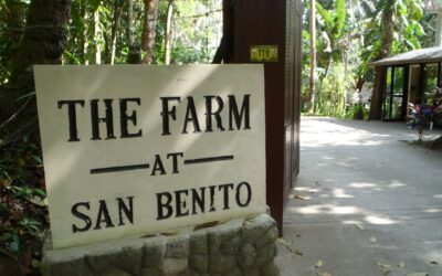 The Farm at San Benito – Una Medi-Spa nella foresta tropicale filippina
