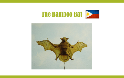 THE BAMBOO BAT – Un pipistrello grande quanto un calabrone nascosto nella foresta filippina