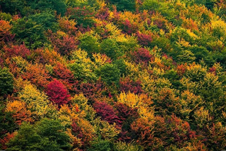 C’ERA UNA VOLTA, SEMPLICEMENTE – Il Covid cambia le nostre vite e le nostre abitudini. Resoconto dall’Iran