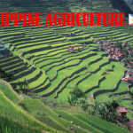 TECHNOLOGY WILL ADAVANCE PHILIPPINE AGRICULTURE – La tecnologia al servizio dell’agricoltura filippina