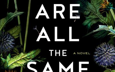 JULIA HEABERLIN – WE ARE ALL THE SAME IN THE DARK