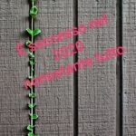 E’ SUCCESSO NEL 2020…NONOSTANTE TUTTO – Il calendario di alcune cose buone nell’annus horribilis