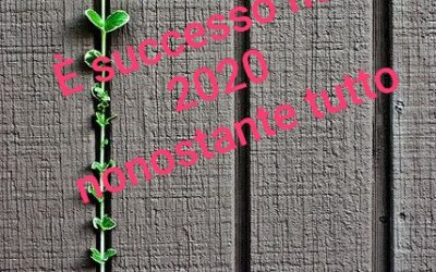 E’ SUCCESSO NEL 2020…NONOSTANTE TUTTO – Il calendario di alcune cose buone nell’annus horribilis