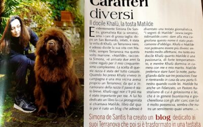 MATILDE SUPER STAR – Sul numero di marzo de “Il mio Cane”