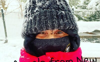 USA: LA RINASCITA – Subito al lavoro il presidente Biden, mentre in Senato si discute “l’impeachment” contro Trump.