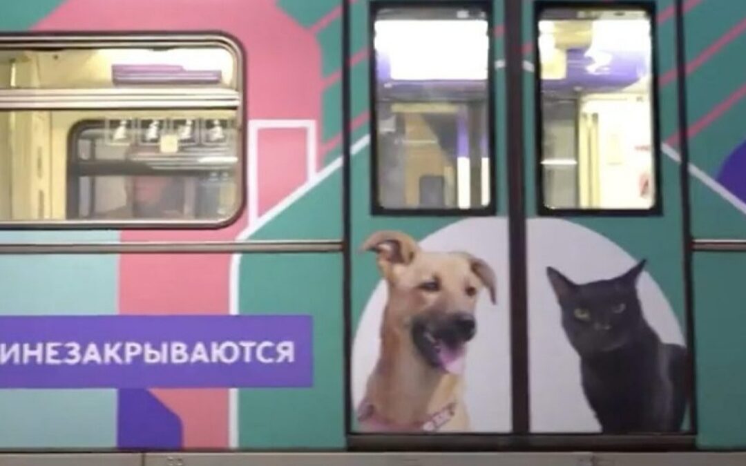 “KHVOSTY I LAPKI”, CIOÈ CODE E ZAMPE – Mosca contro gli abbandoni a 4 zampe