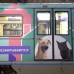 “KHVOSTY I LAPKI”, CIOÈ CODE E ZAMPE – Mosca contro gli abbandoni a 4 zampe