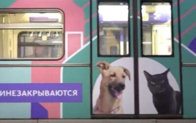 “KHVOSTY I LAPKI”, CIOÈ CODE E ZAMPE – Mosca contro gli abbandoni a 4 zampe