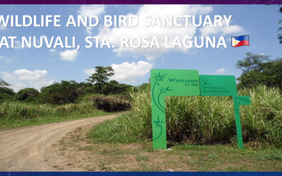 WILDLIFE & BIRD SANCTUARY AT NUVALI, STA. ROSA LAGUNA