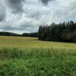 PAESAGGI NELLA REPUBBLICA CECA – In viaggio con la fantasia come se fosse una favola dei fratelli Grimm