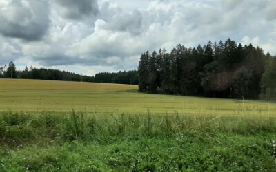 PAESAGGI NELLA REPUBBLICA CECA – In viaggio con la fantasia come se fosse una favola dei fratelli Grimm