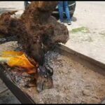 GRANTURCO SUL FUOCO – Lungo la strada per la regione iraniana di Gilan