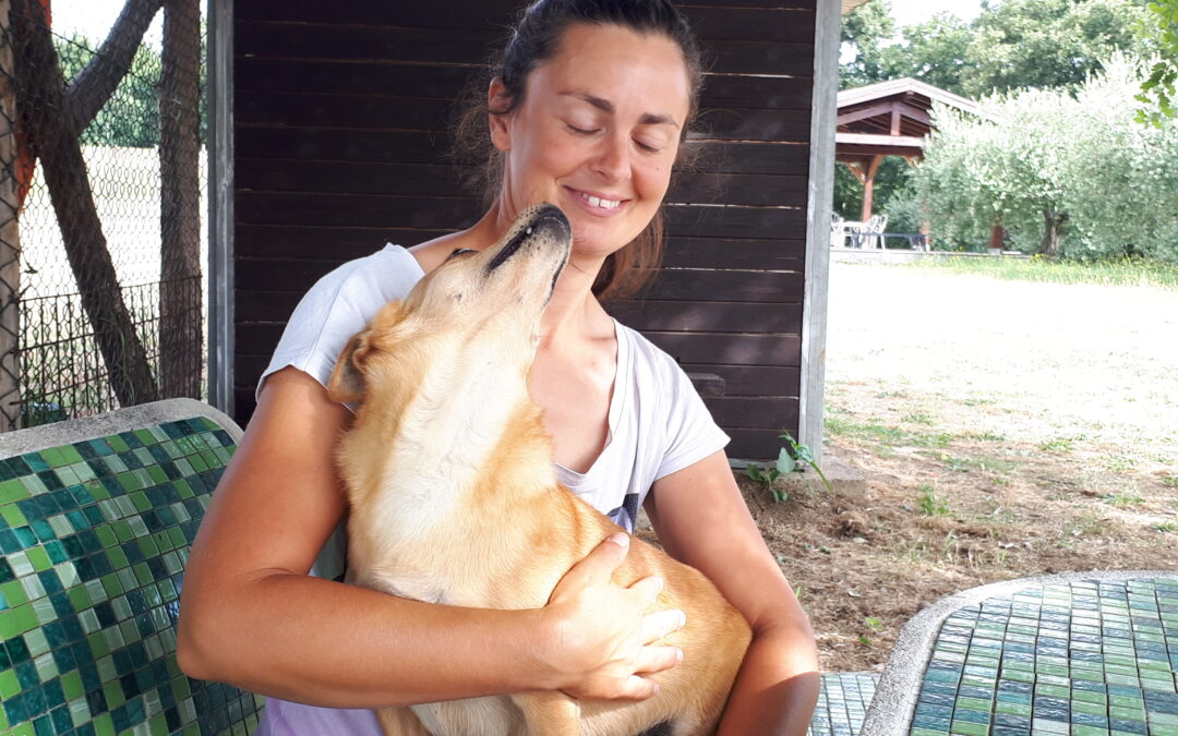 L’ALIMENTAZIONE DEL CUCCIOLO – Come orientarsi
