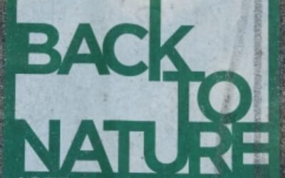 ARTE E NATURA….. IN CITTA’.
