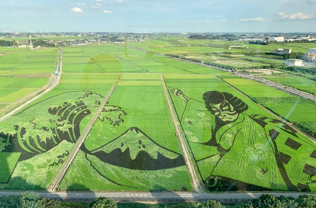 PADDY ART – L’arte di disegnare le risaie