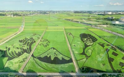 PADDY ART – L’arte di disegnare le risaie