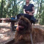 LE CASCATE DI MONTE GELATO – Nel cuore della Valle del Treja le piscine naturali più belle del Lazio