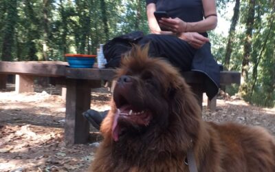 LE CASCATE DI MONTE GELATO – Nel cuore della Valle del Treja le piscine naturali più belle del Lazio