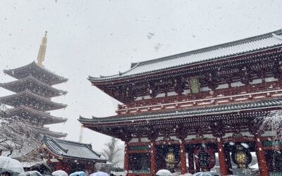 HATSUMODE SOTTO LA NEVE – La prima visita al santuario in una Tokyo imbiancata