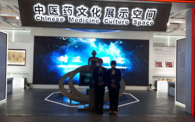 Il TAI CHI ALLE OLIMPIADI DI PECHINO 2022 – Per essere come nuvole mosse dal vento