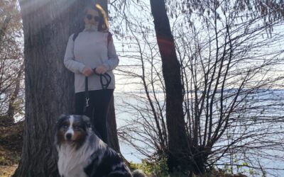 PASSEGGIARE, ASCOLTARE, AMMIRARE…..(Come raggiungere lo zen in soli 40 minuti!)