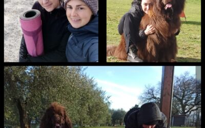 FITNESS AND MINDFULNESS CON MATILDE – Fare ginnastica con il proprio cane è un esercizio di salute mentale