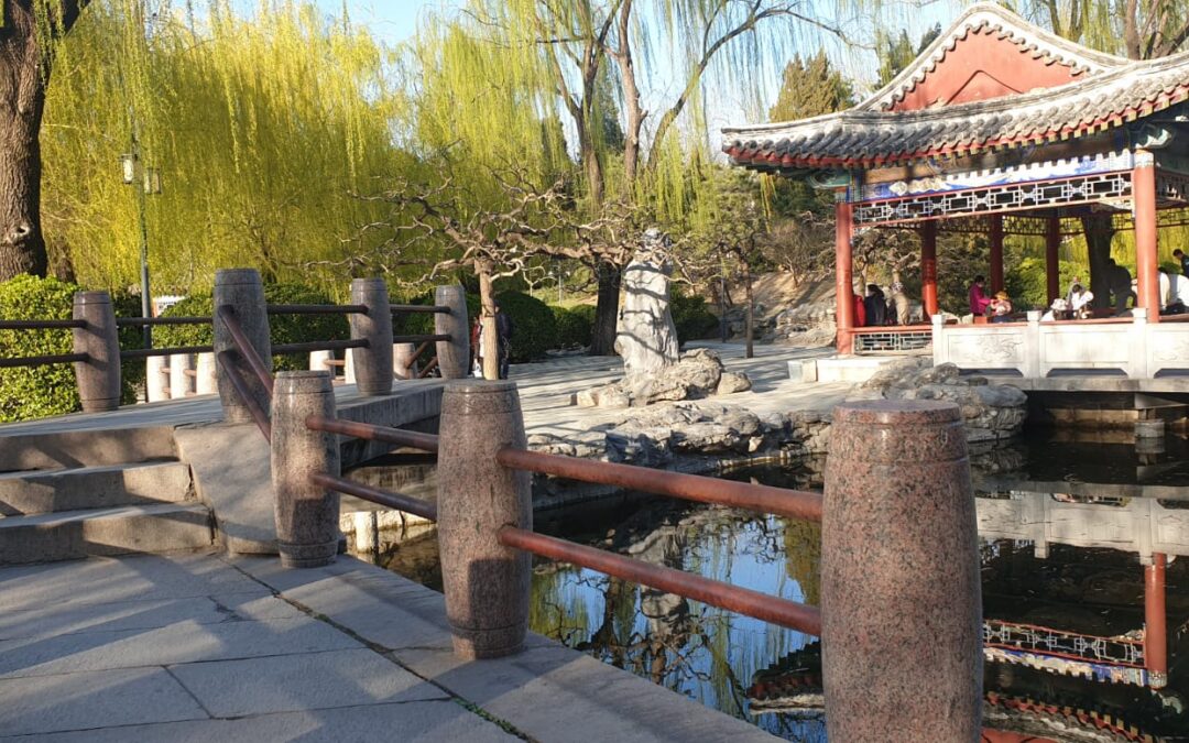 LA PRIMAVERA A PECHINO