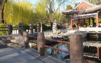 LA PRIMAVERA A PECHINO