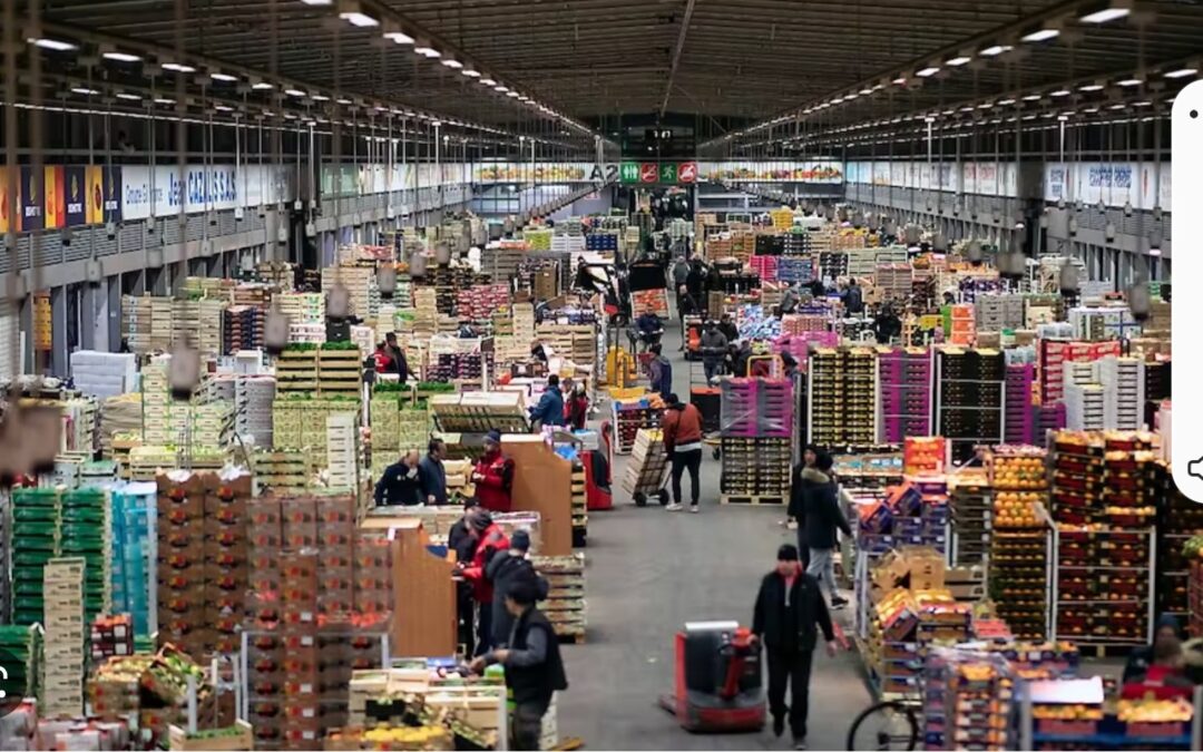 PARIGI ….LA CITTÀ CHE NON DORME MAI!