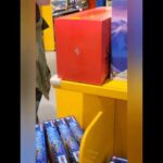 BEIJING FUN: SI TORNA BAMBINI