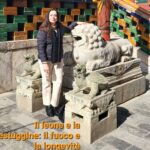 IL TEMPIO LAMA  YONGHE