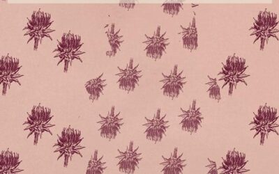 JANE AUSTEN – LADY SUSAN