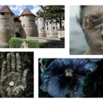 Il Castello di Harcourt per Matilde