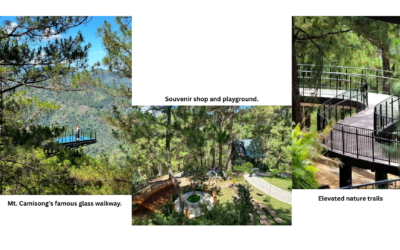 MT. CAMISONG FOREST PARK