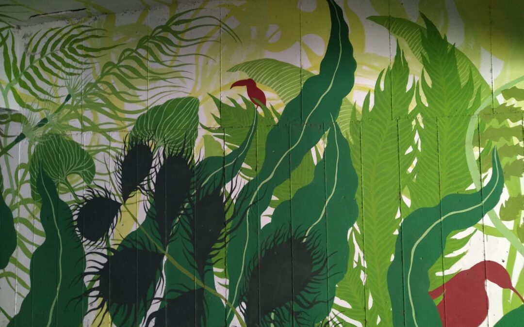 COLORI  IN  PERIFERIA: VAL  MELAINA.